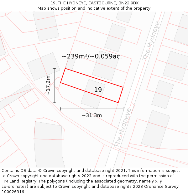 19, THE HYDNEYE, EASTBOURNE, BN22 9BX: Plot and title map