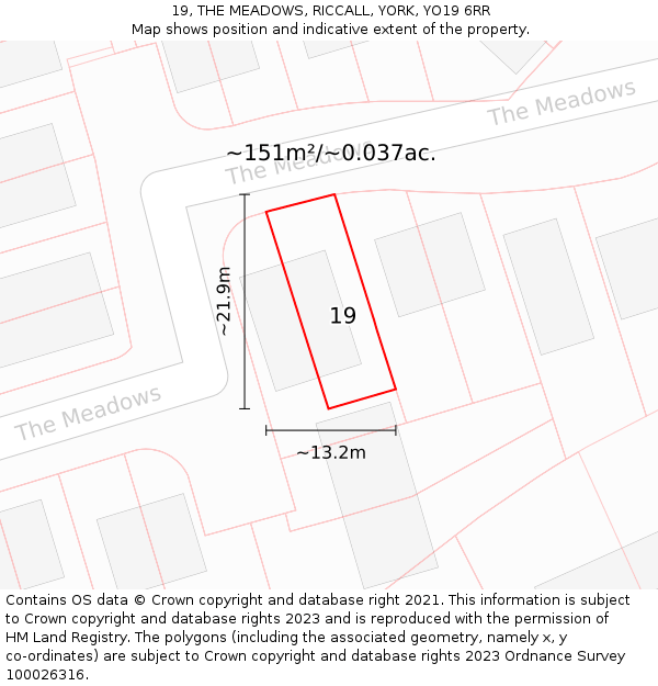 19, THE MEADOWS, RICCALL, YORK, YO19 6RR: Plot and title map
