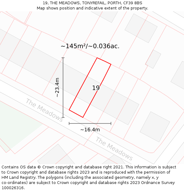 19, THE MEADOWS, TONYREFAIL, PORTH, CF39 8BS: Plot and title map