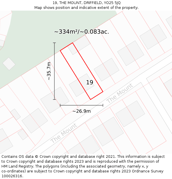 19, THE MOUNT, DRIFFIELD, YO25 5JQ: Plot and title map