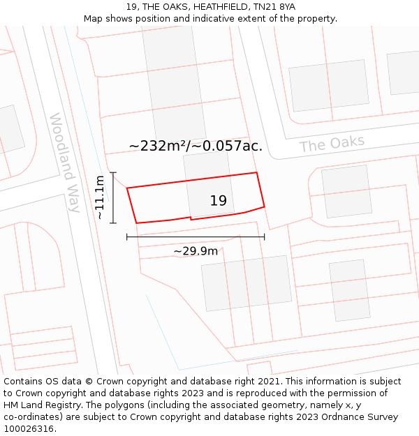 19, THE OAKS, HEATHFIELD, TN21 8YA: Plot and title map