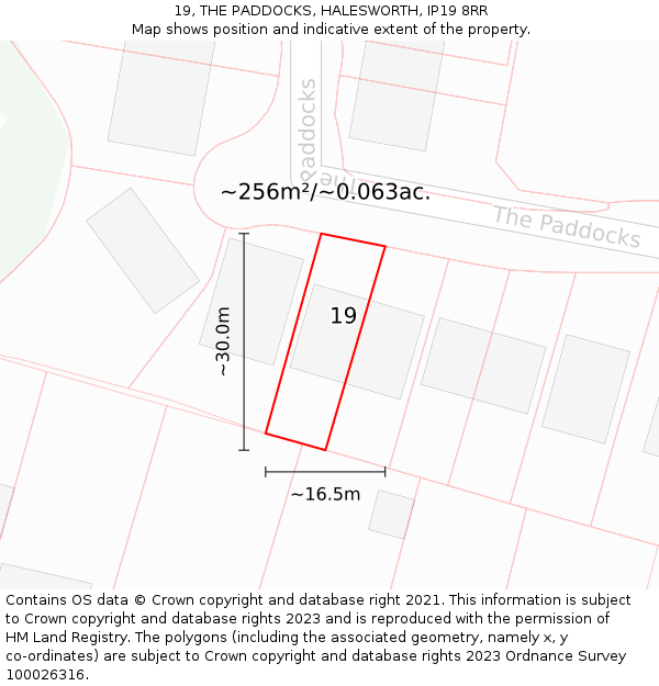 19, THE PADDOCKS, HALESWORTH, IP19 8RR: Plot and title map