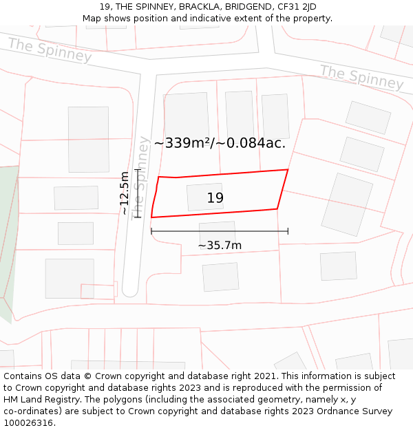 19, THE SPINNEY, BRACKLA, BRIDGEND, CF31 2JD: Plot and title map