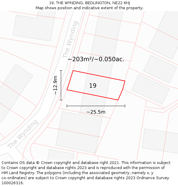 19, THE WYNDING, BEDLINGTON, NE22 6HJ: Plot and title map