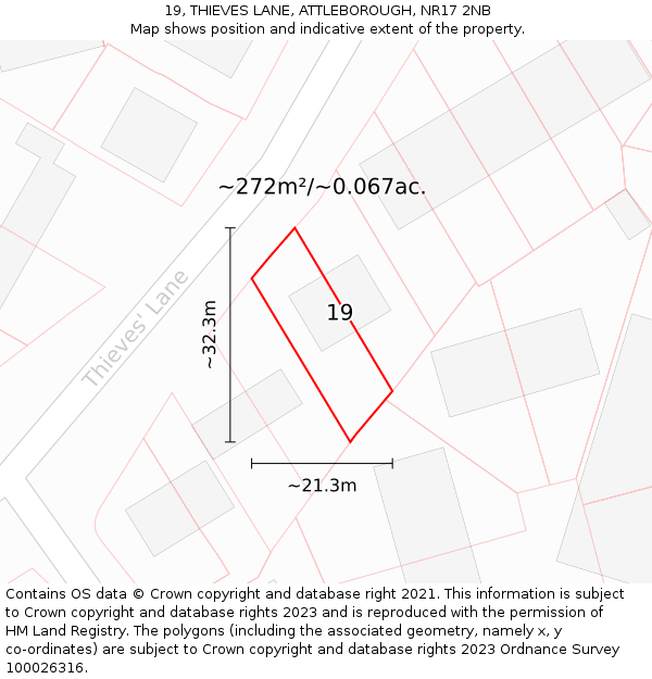 19, THIEVES LANE, ATTLEBOROUGH, NR17 2NB: Plot and title map