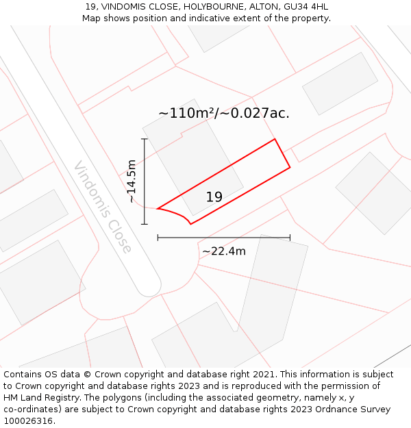 19, VINDOMIS CLOSE, HOLYBOURNE, ALTON, GU34 4HL: Plot and title map