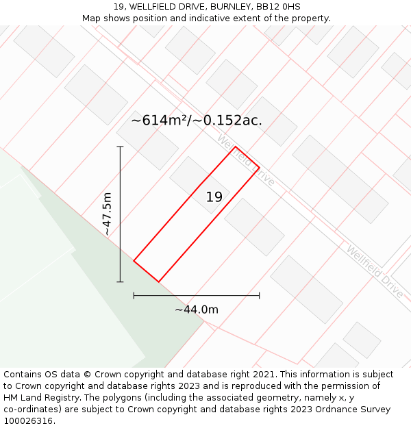 19, WELLFIELD DRIVE, BURNLEY, BB12 0HS: Plot and title map