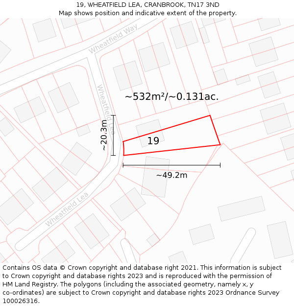 19, WHEATFIELD LEA, CRANBROOK, TN17 3ND: Plot and title map