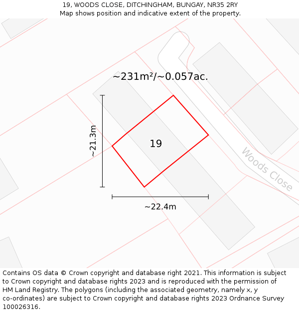 19, WOODS CLOSE, DITCHINGHAM, BUNGAY, NR35 2RY: Plot and title map