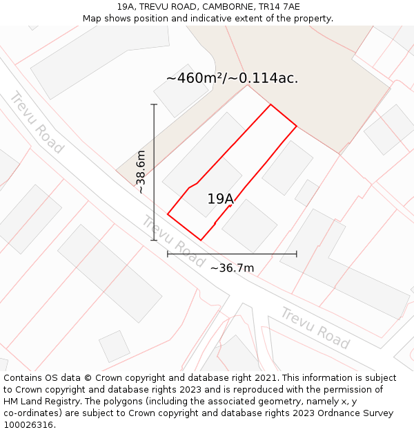 19A, TREVU ROAD, CAMBORNE, TR14 7AE: Plot and title map