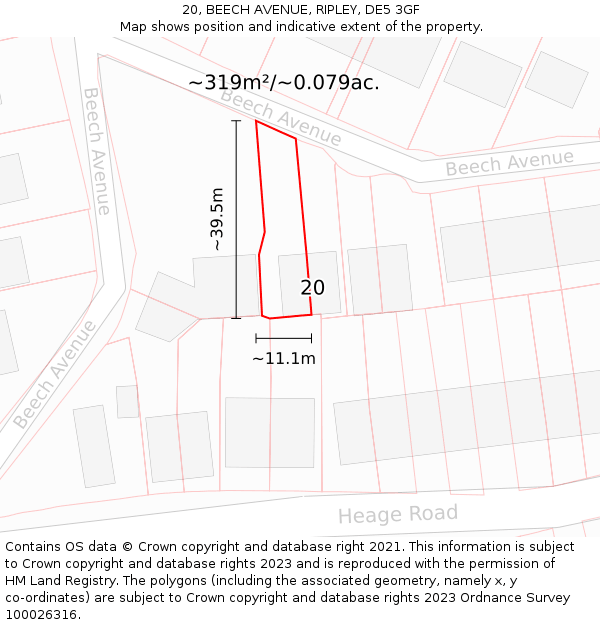 20, BEECH AVENUE, RIPLEY, DE5 3GF: Plot and title map