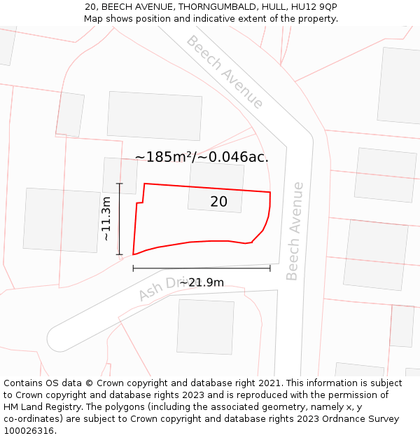 20, BEECH AVENUE, THORNGUMBALD, HULL, HU12 9QP: Plot and title map