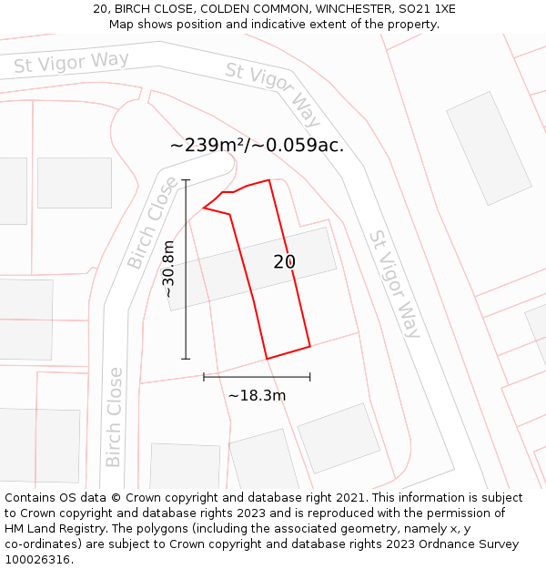 20, BIRCH CLOSE, COLDEN COMMON, WINCHESTER, SO21 1XE: Plot and title map