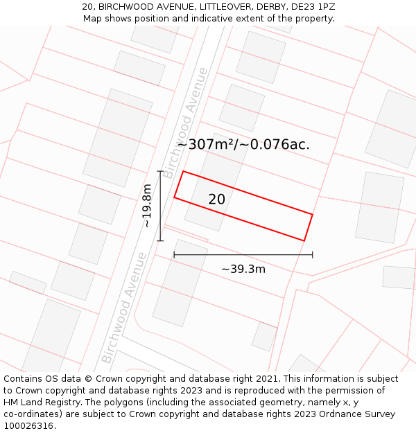 20, BIRCHWOOD AVENUE, LITTLEOVER, DERBY, DE23 1PZ: Plot and title map