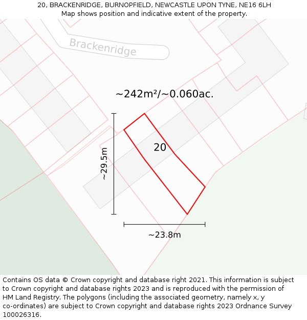 20, BRACKENRIDGE, BURNOPFIELD, NEWCASTLE UPON TYNE, NE16 6LH: Plot and title map