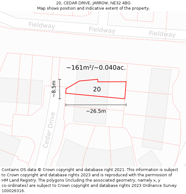 20, CEDAR DRIVE, JARROW, NE32 4BG: Plot and title map