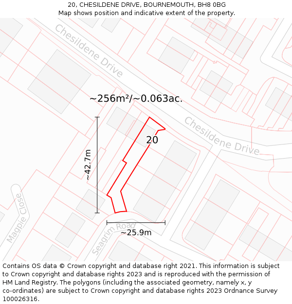 20, CHESILDENE DRIVE, BOURNEMOUTH, BH8 0BG: Plot and title map
