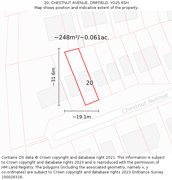 20, CHESTNUT AVENUE, DRIFFIELD, YO25 6SH: Plot and title map