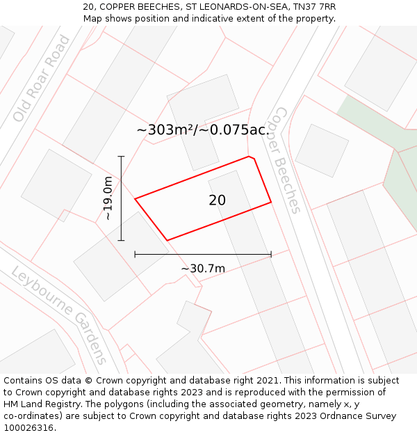 20, COPPER BEECHES, ST LEONARDS-ON-SEA, TN37 7RR: Plot and title map