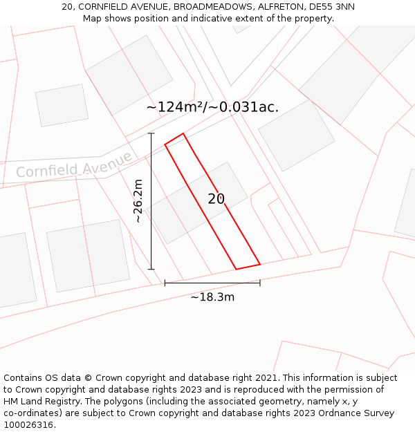 20, CORNFIELD AVENUE, BROADMEADOWS, ALFRETON, DE55 3NN: Plot and title map