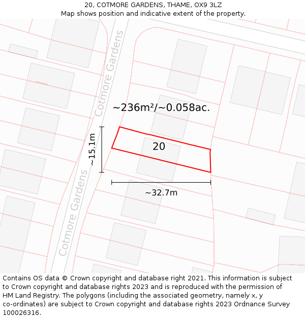 20, COTMORE GARDENS, THAME, OX9 3LZ: Plot and title map