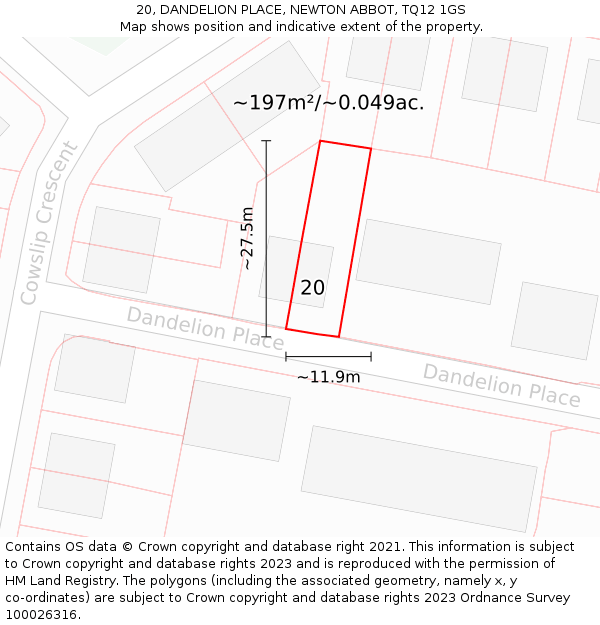 20, DANDELION PLACE, NEWTON ABBOT, TQ12 1GS: Plot and title map