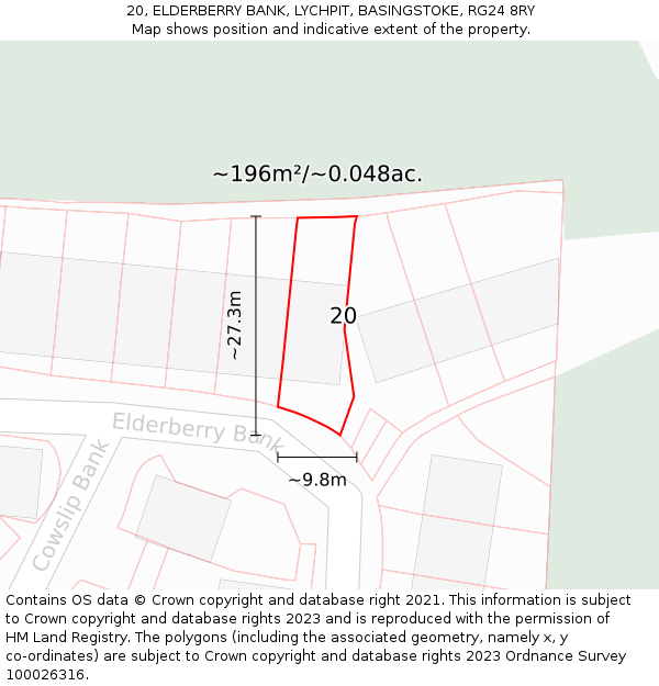 20, ELDERBERRY BANK, LYCHPIT, BASINGSTOKE, RG24 8RY: Plot and title map