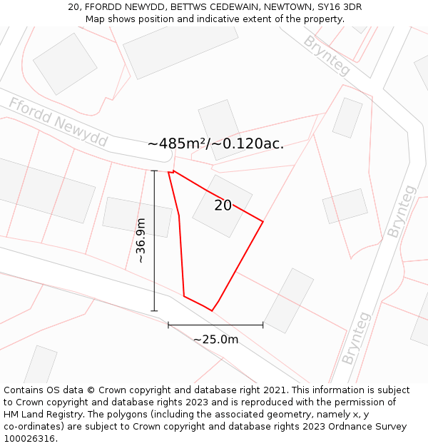 20, FFORDD NEWYDD, BETTWS CEDEWAIN, NEWTOWN, SY16 3DR: Plot and title map