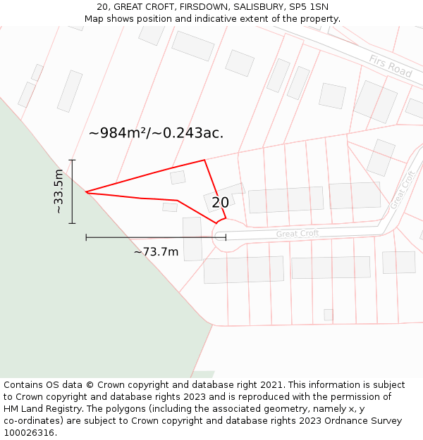 20, GREAT CROFT, FIRSDOWN, SALISBURY, SP5 1SN: Plot and title map