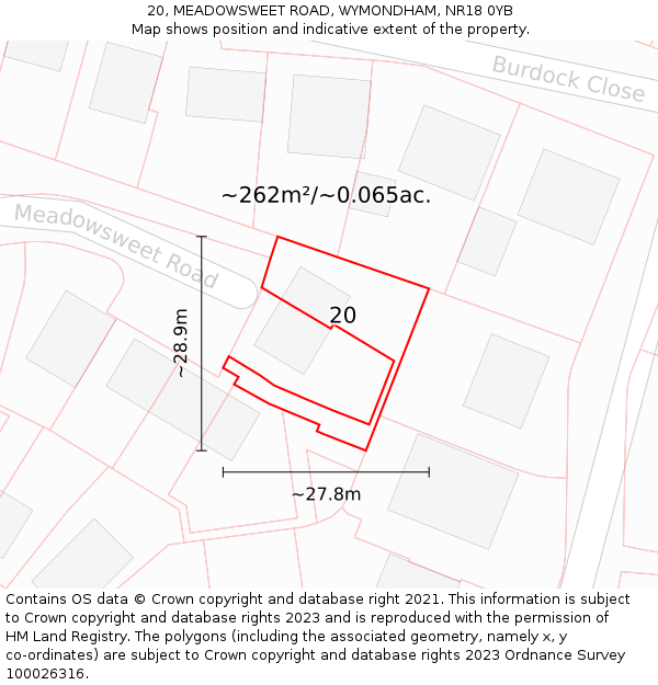 20, MEADOWSWEET ROAD, WYMONDHAM, NR18 0YB: Plot and title map