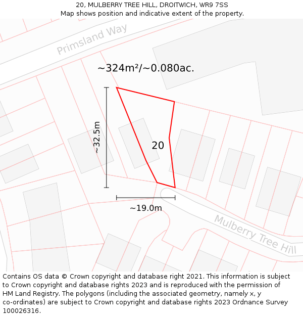 20, MULBERRY TREE HILL, DROITWICH, WR9 7SS: Plot and title map