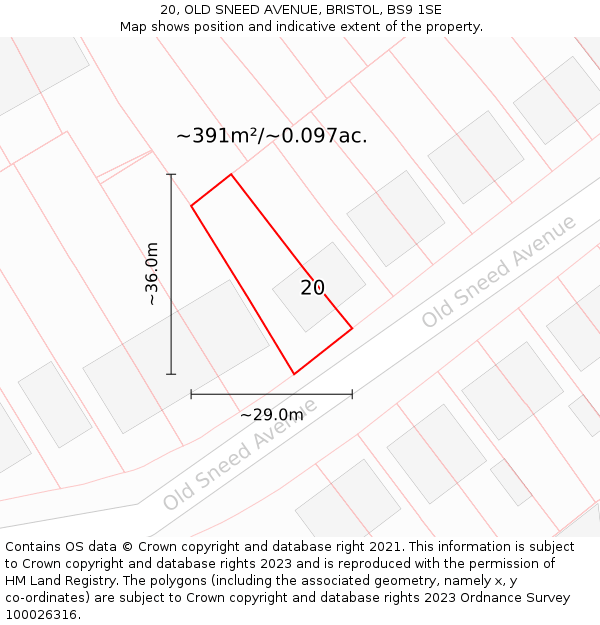 20, OLD SNEED AVENUE, BRISTOL, BS9 1SE: Plot and title map