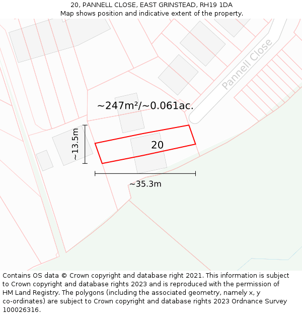 20, PANNELL CLOSE, EAST GRINSTEAD, RH19 1DA: Plot and title map