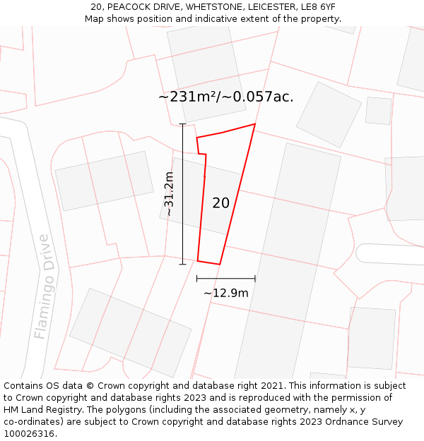 20, PEACOCK DRIVE, WHETSTONE, LEICESTER, LE8 6YF: Plot and title map