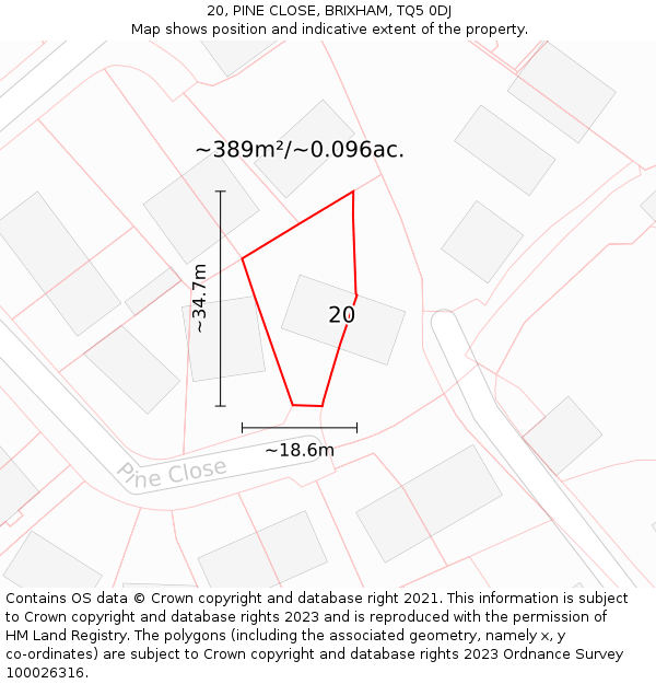 20, PINE CLOSE, BRIXHAM, TQ5 0DJ: Plot and title map