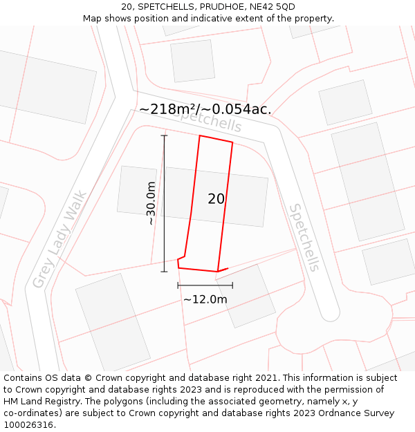 20, SPETCHELLS, PRUDHOE, NE42 5QD: Plot and title map