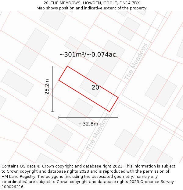 20, THE MEADOWS, HOWDEN, GOOLE, DN14 7DX: Plot and title map