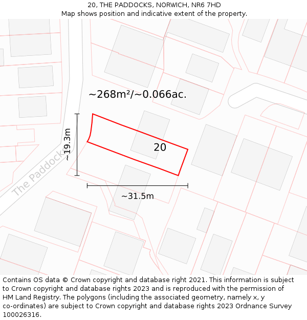 20, THE PADDOCKS, NORWICH, NR6 7HD: Plot and title map