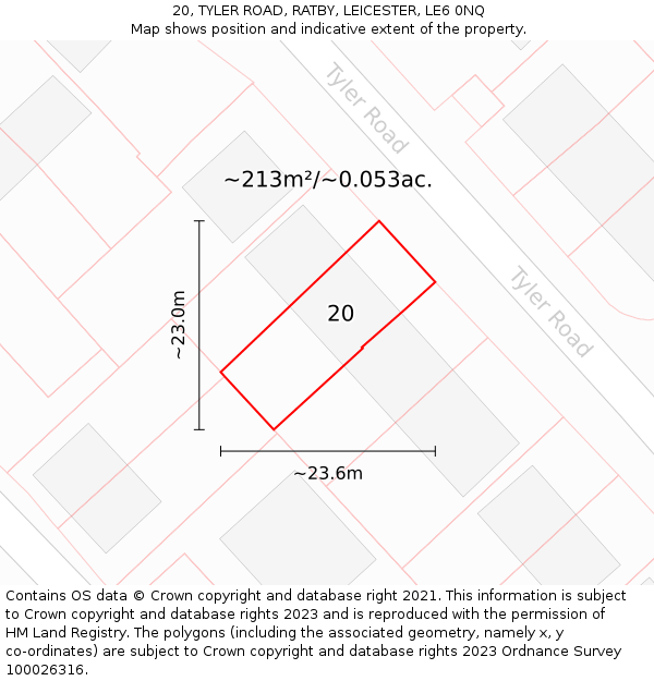 20, TYLER ROAD, RATBY, LEICESTER, LE6 0NQ: Plot and title map