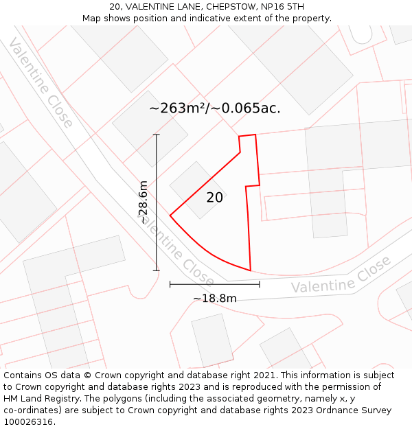 20, VALENTINE LANE, CHEPSTOW, NP16 5TH: Plot and title map