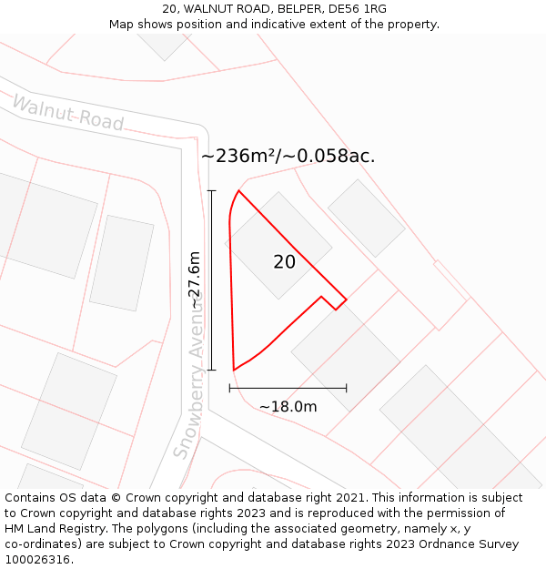 20, WALNUT ROAD, BELPER, DE56 1RG: Plot and title map