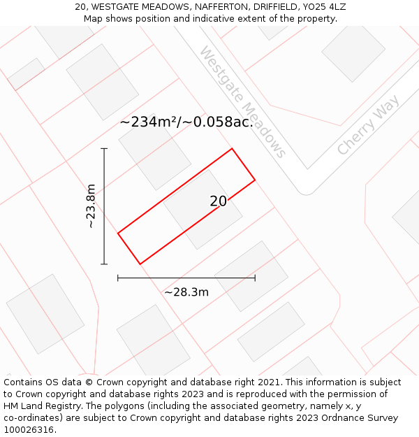 20, WESTGATE MEADOWS, NAFFERTON, DRIFFIELD, YO25 4LZ: Plot and title map