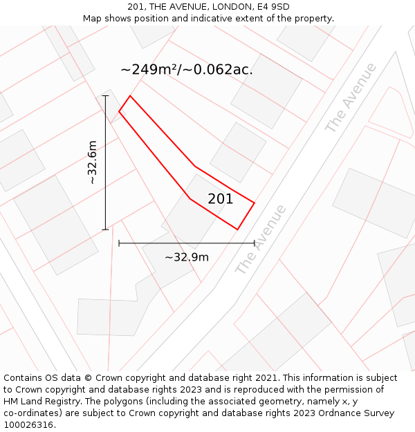 201, THE AVENUE, LONDON, E4 9SD: Plot and title map