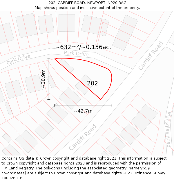 202, CARDIFF ROAD, NEWPORT, NP20 3AG: Plot and title map