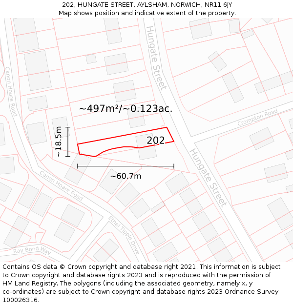 202, HUNGATE STREET, AYLSHAM, NORWICH, NR11 6JY: Plot and title map