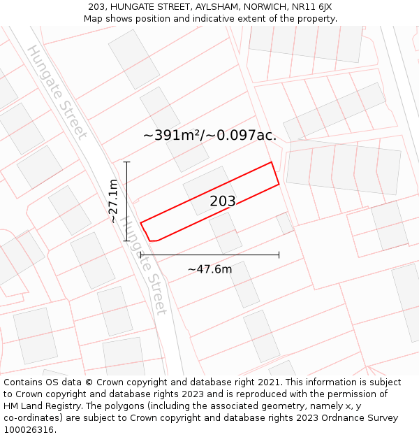 203, HUNGATE STREET, AYLSHAM, NORWICH, NR11 6JX: Plot and title map