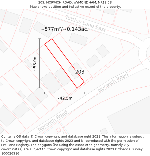 203, NORWICH ROAD, WYMONDHAM, NR18 0SJ: Plot and title map