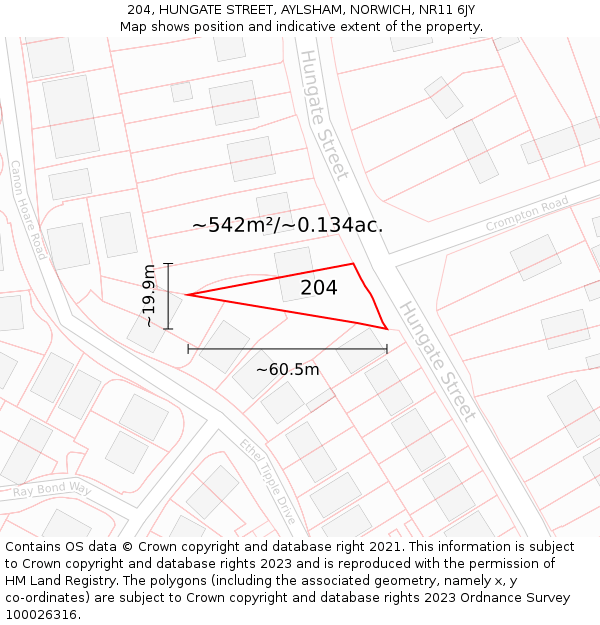 204, HUNGATE STREET, AYLSHAM, NORWICH, NR11 6JY: Plot and title map