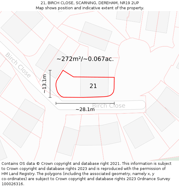 21, BIRCH CLOSE, SCARNING, DEREHAM, NR19 2UP: Plot and title map