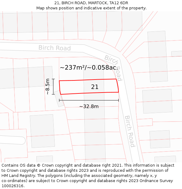 21, BIRCH ROAD, MARTOCK, TA12 6DR: Plot and title map